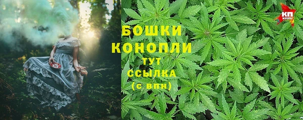 PSILOCYBIN Аркадак
