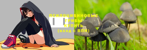 винт Арсеньев