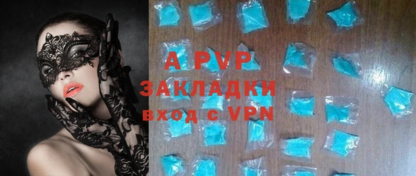 PSILOCYBIN Аркадак