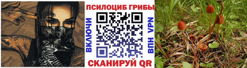 где найти наркотики  Мурманск  Псилоцибиновые грибы MAGIC MUSHROOMS 