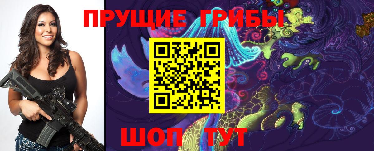 Галлюциногенные грибы прущие грибы Мурманск
