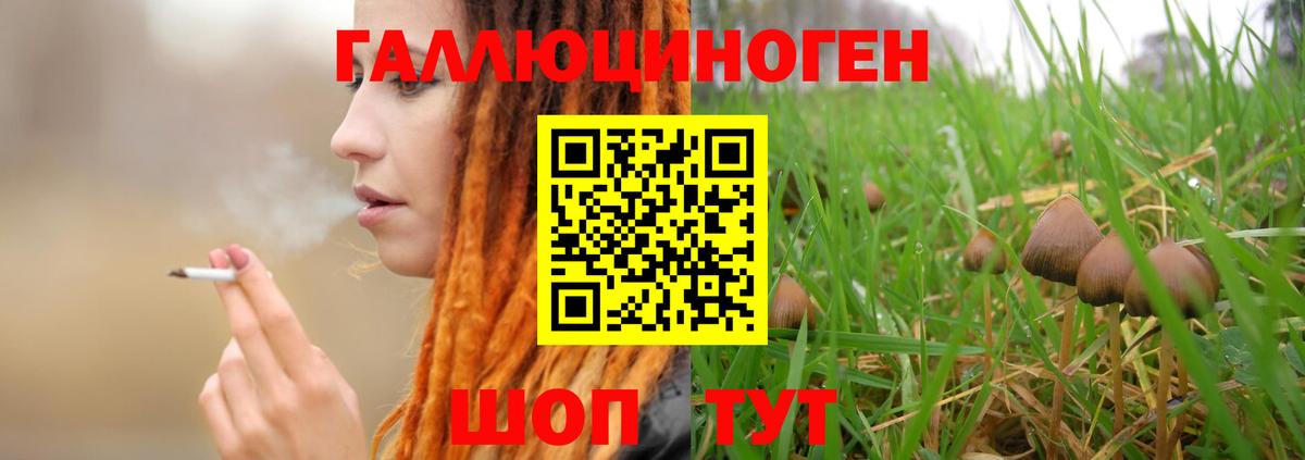 закладка  Вход с VPN  Мурманск  Галлюциногенные грибы GOLDEN TEACHER 